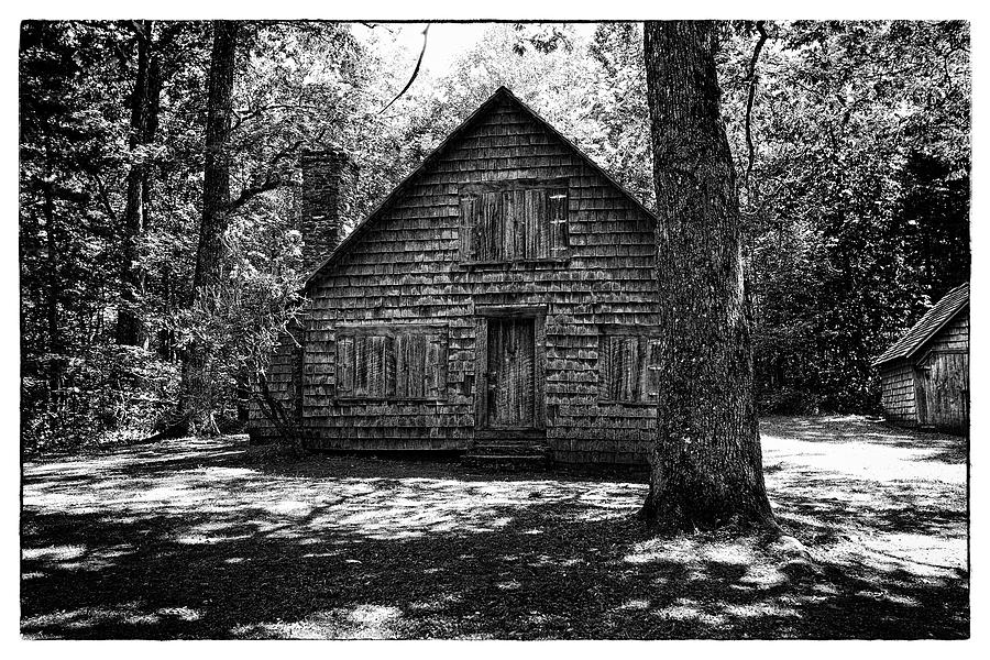 Cabin In The Woods Photograph By April Copeland