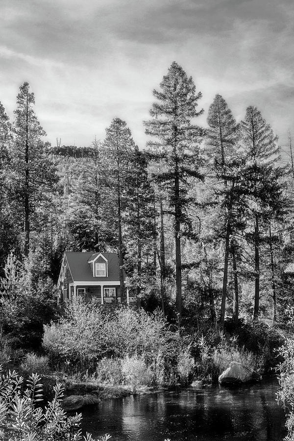 Cabin In The Woods BW Photograph by Sennie Pierson