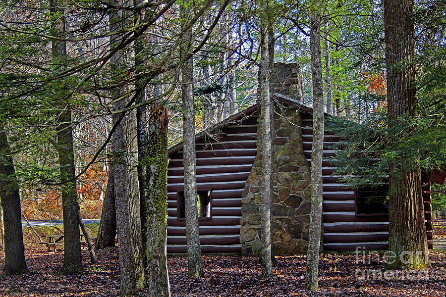 Cabin in the Woods Photograph by Karen Adams