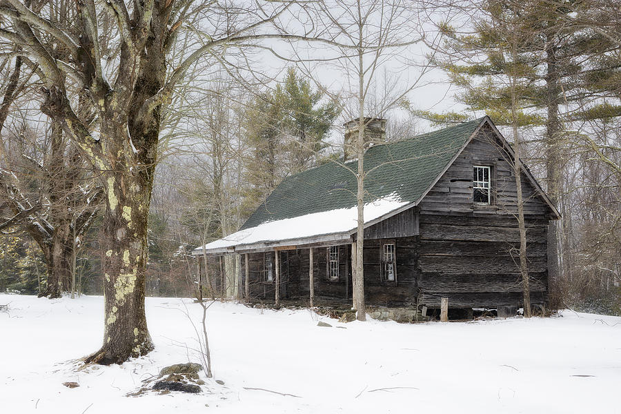 Cabin in the Woods Photograph by Ken Barrett