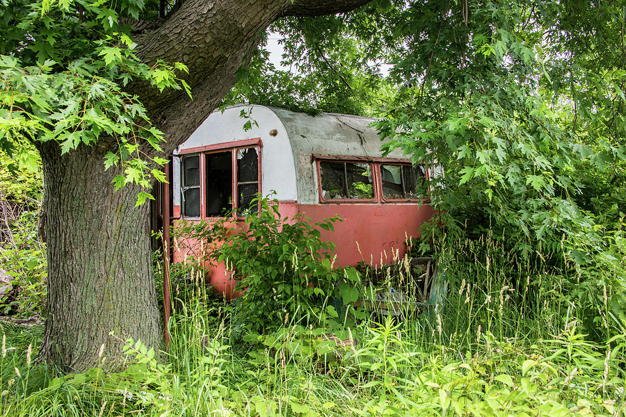 Cabin in the Woods by Lindy Grasser Cabin in the Woods by Lindy Grasser