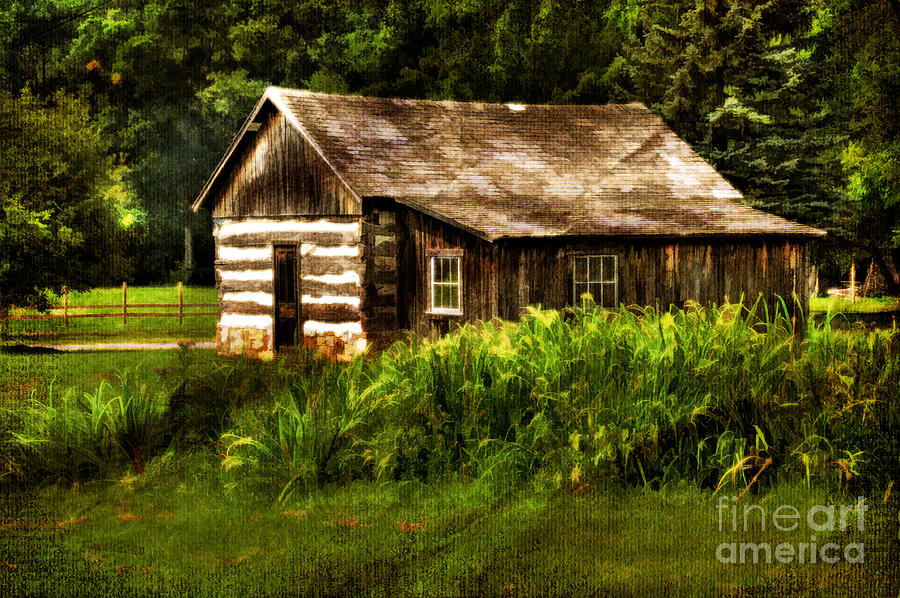 Architecture Photograph - Cabin In The Woods by Lois Bryan