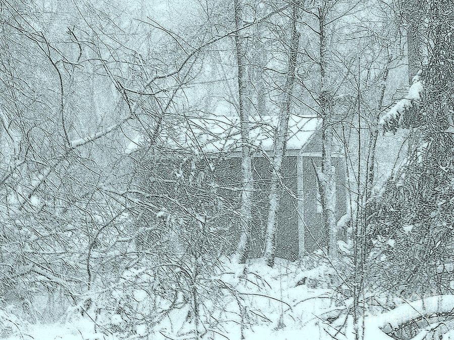Landscape Photograph - Cabin in the Woods by Rick Maxwell