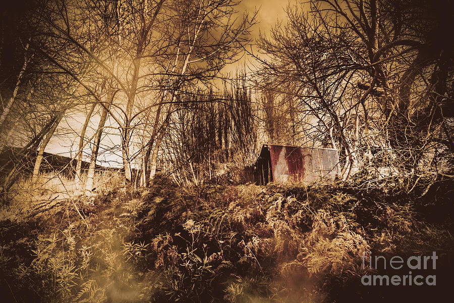 Cabin in the woods Photograph by Jorgo Photography