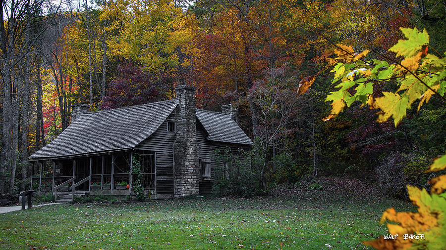 Cabin in the Woods Photograph by Walt Baker