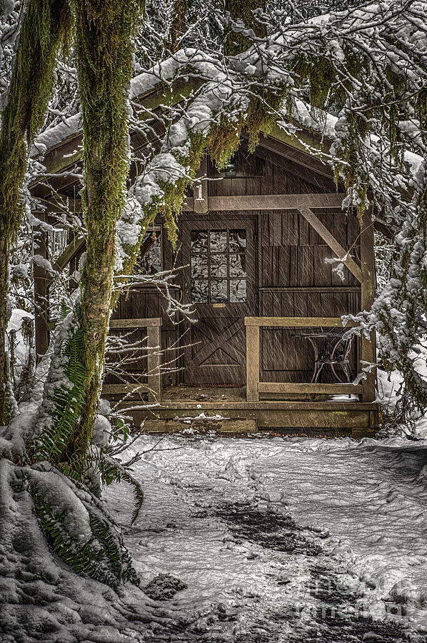 Cabin In The Woods Photograph By Zach Deets