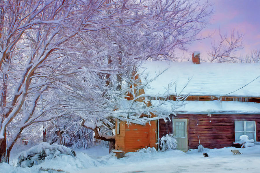 Cabin in Winter Photograph by Nikolyn McDonald