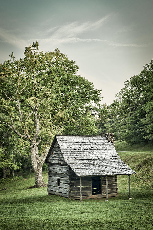 Cabin on the Blue Ridge Parkway - 9 Photograph by Joye Ardyn Durham