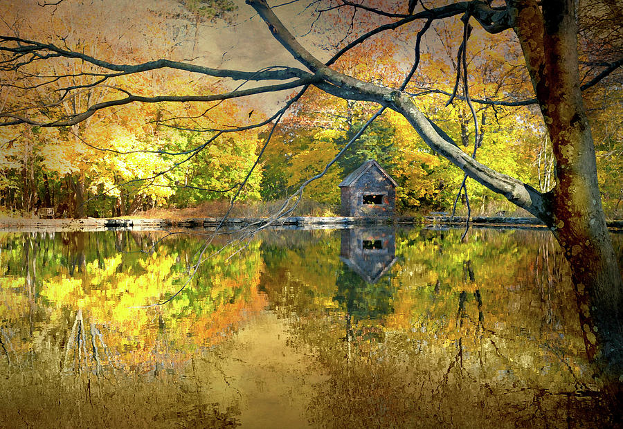 Cabin on the Lake Photograph by Diana Angstadt
