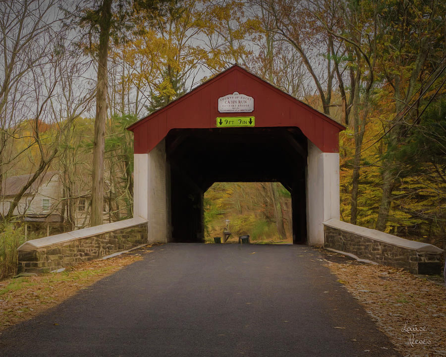 Cabin Run Covered Bridge Photograph by Louise Reeves
