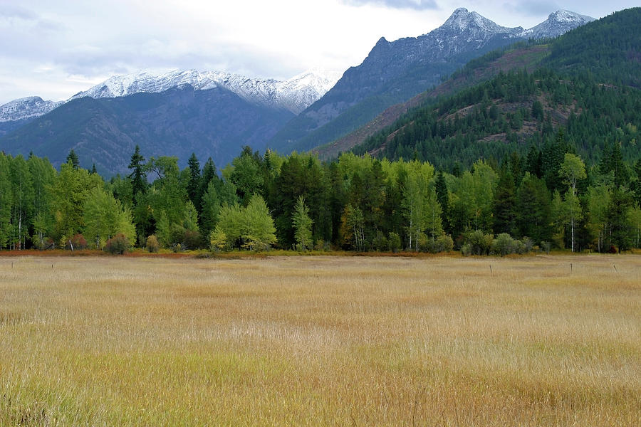 Cabinet Mountains Wilderness Montana Photograph By Robert Mutch