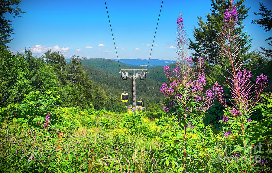  Cable car in Black Forest region, Belchen mountains Photograph by Ariadna De Raadt
