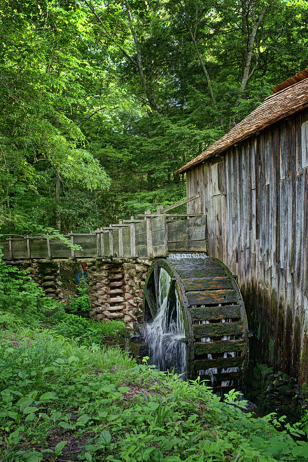 Cable Mill - Cades Cove - Tennessee - Vertical Photograph by Nikolyn McDonald