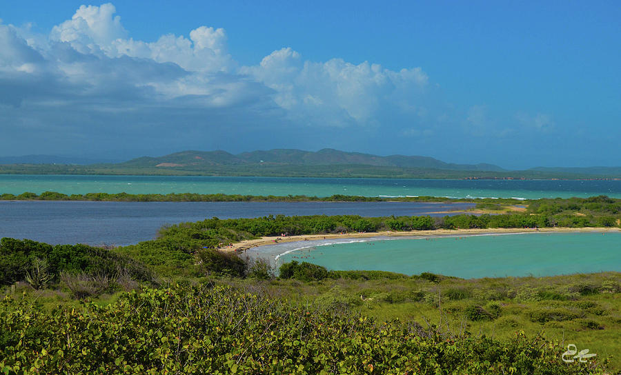 Cabo Rojo Puerto Rico Photograph by Elba Martinez Fine Art America