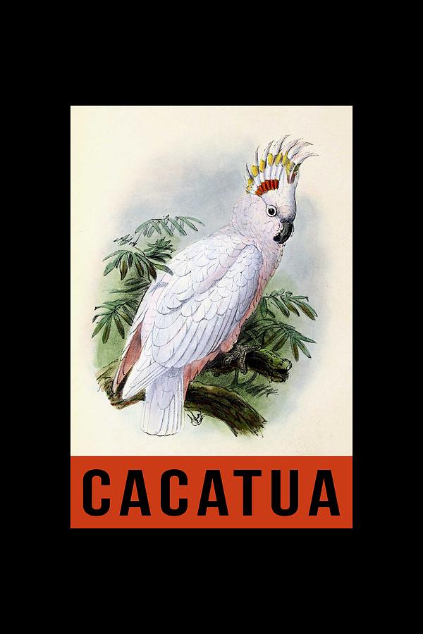 Cacatua Parrot Digital Art by Carlos V - Pixels