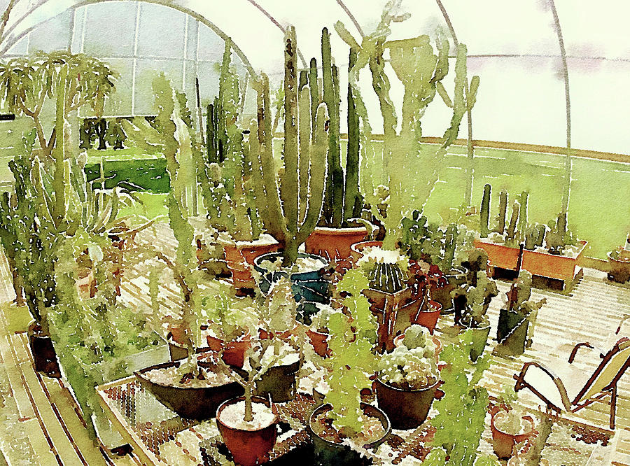 Cacti in the Greenhouse Photograph by Susan Maxwell Schmidt
