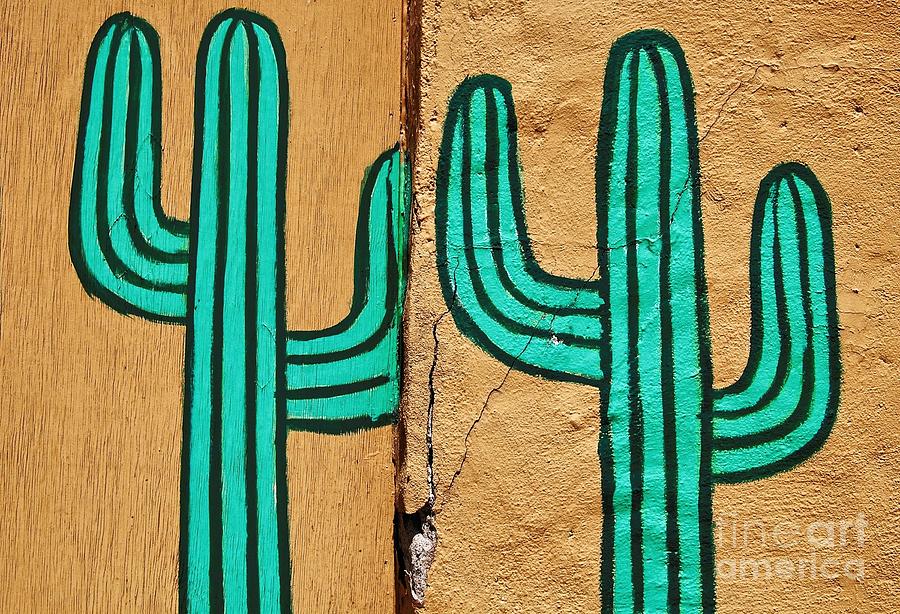Cactus Photograph - Cacti by Merrimon Crawford