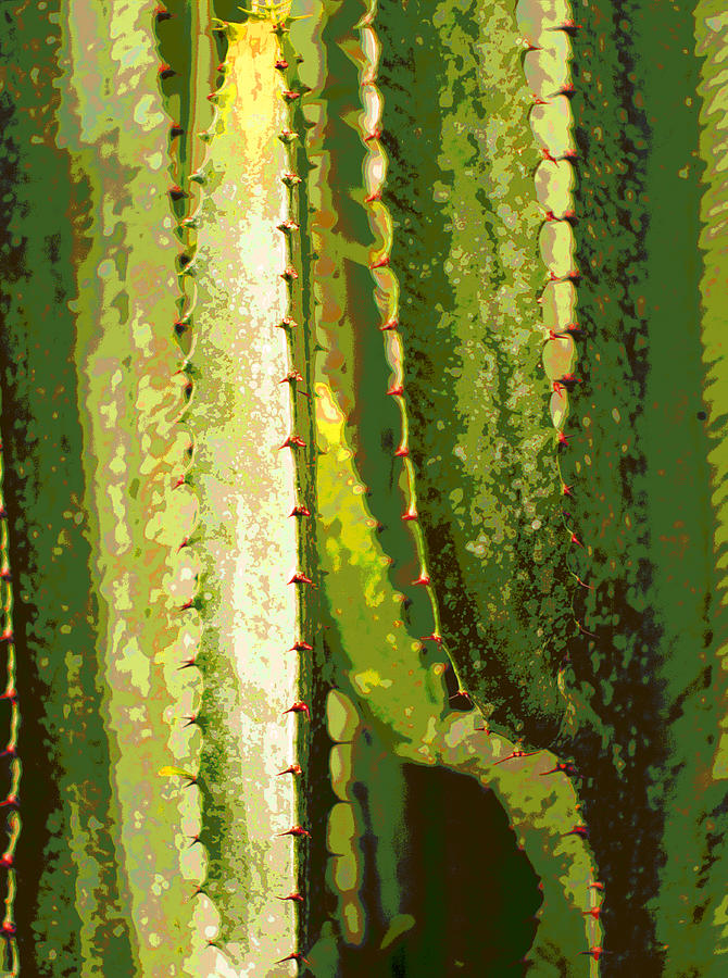 Abstract Photograph - Cacti Sculpture by Suzanne Powers