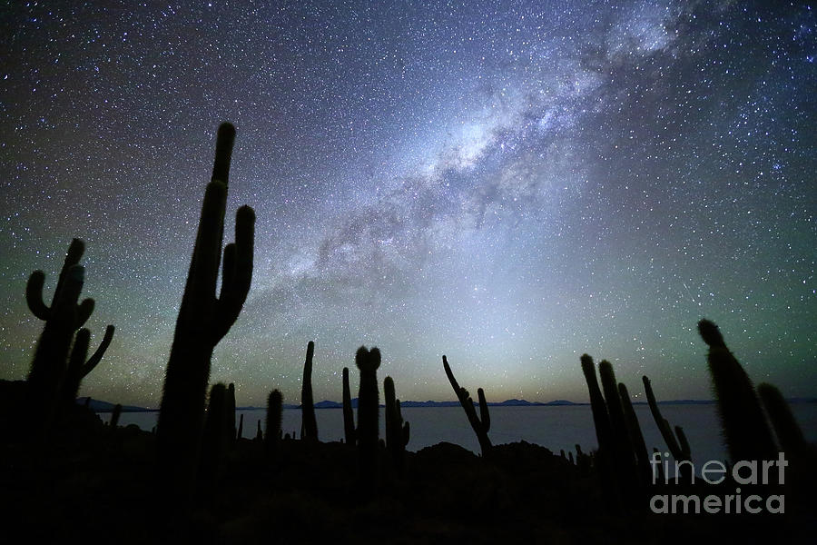 Cacti Silhouettes and Glowing Heavens Incahuasi Island Bolivia Photograph by James Brunker