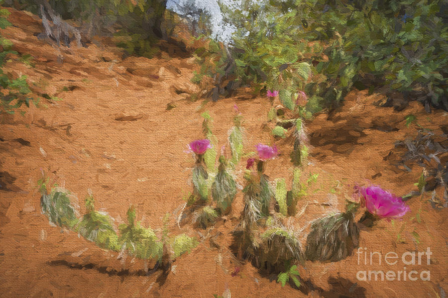 Cactus along trail  paintography Photograph by Dan Friend
