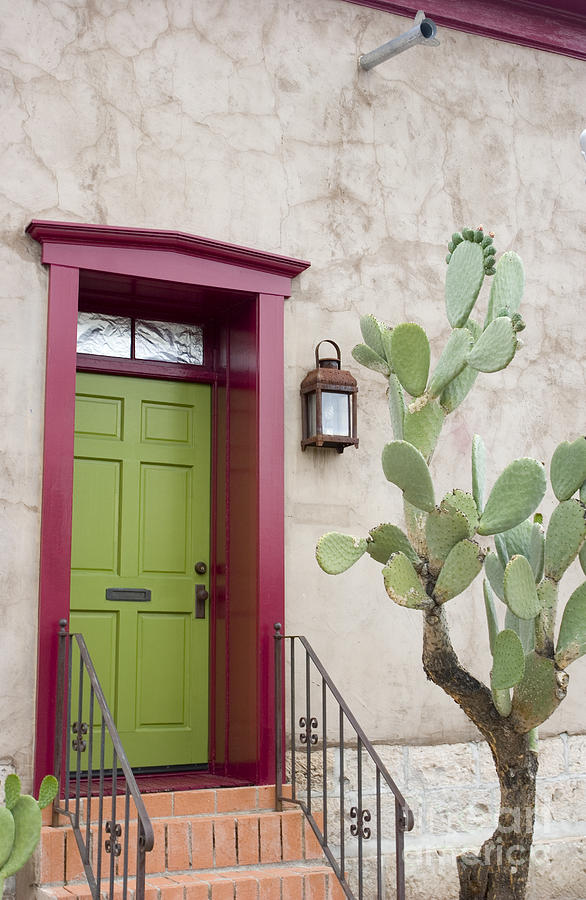 Cactus and doorway Photograph by Elvira Butler
