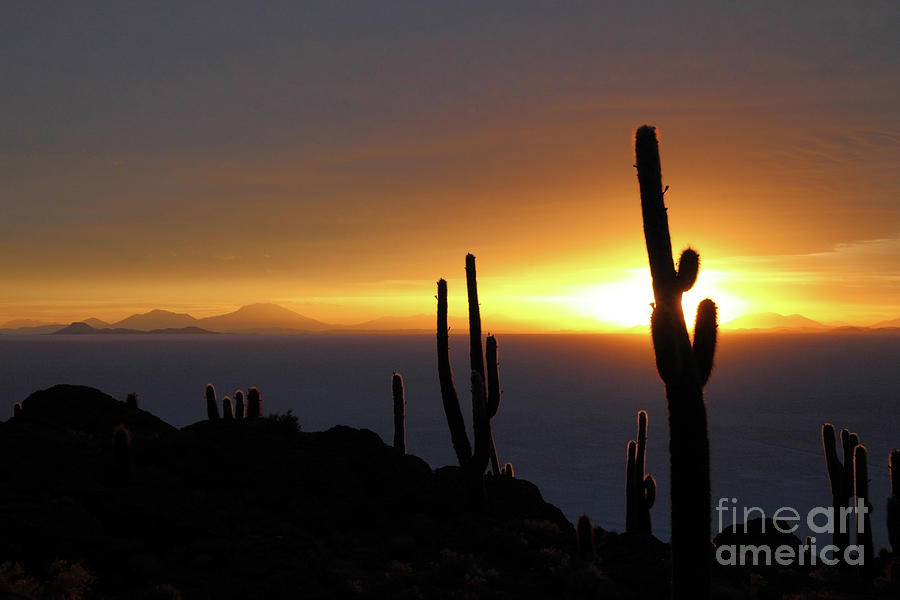 Cactus and Stormy Sunset Salar de Uyuni Bolivia Photograph by James Brunker