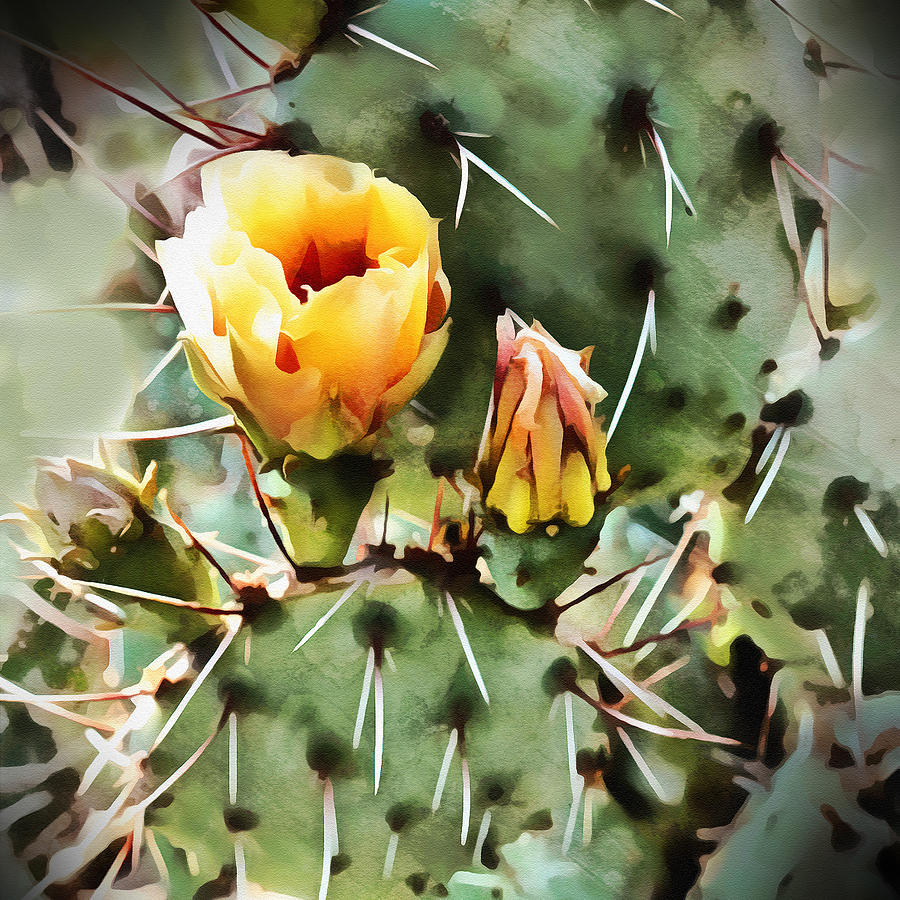 Cactus Bloom  Digital Art by Ann Powell