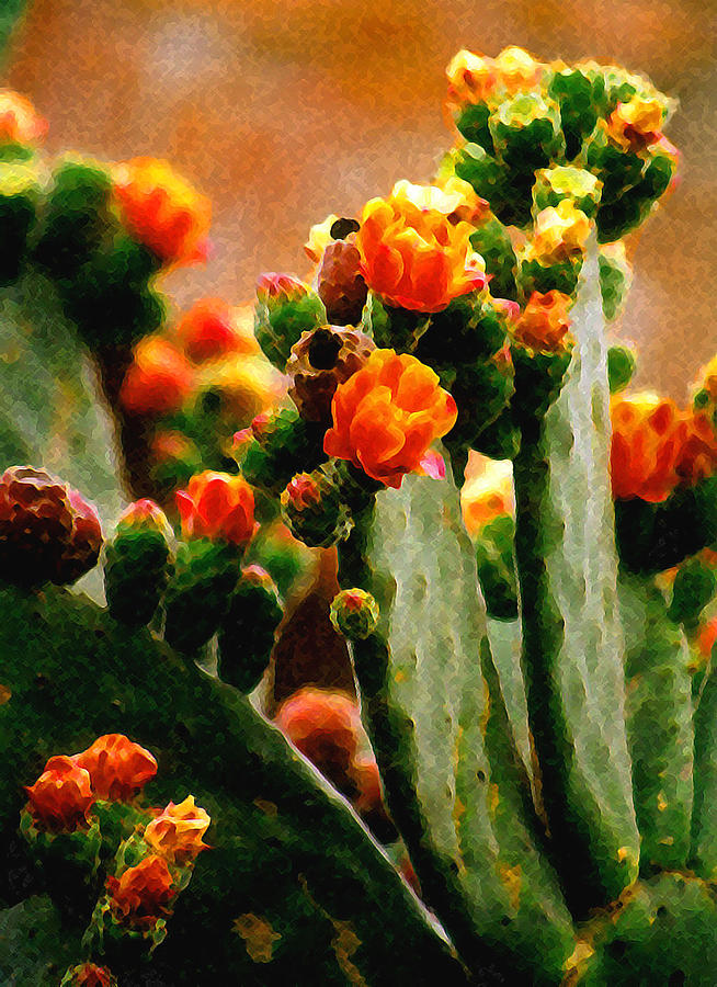Cactus Blooms Digital Art by Timothy Bulone