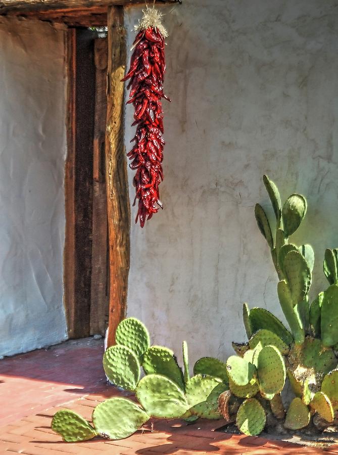 Cactus Chile Photograph by Jerry Sodorff