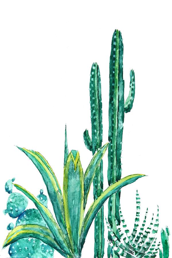 Watercolor Painting - Cactus  by Color Color