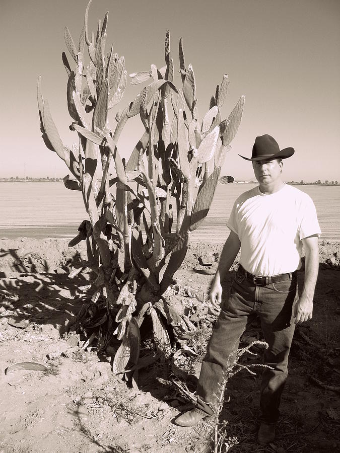 Cactus Cowpoke Photograph