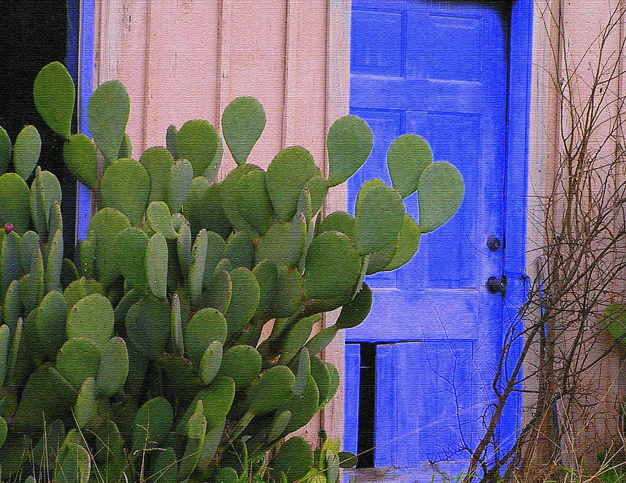 Cactus Door Photograph by Walter E Koopmann