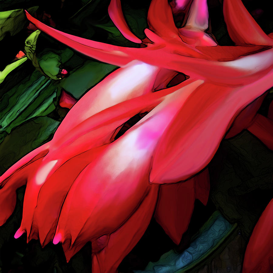 Cactus Flower Digital Art by Gina Harrison