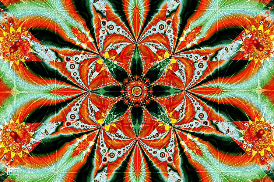 Cactus Flower Digital Art by Jim Pavelle