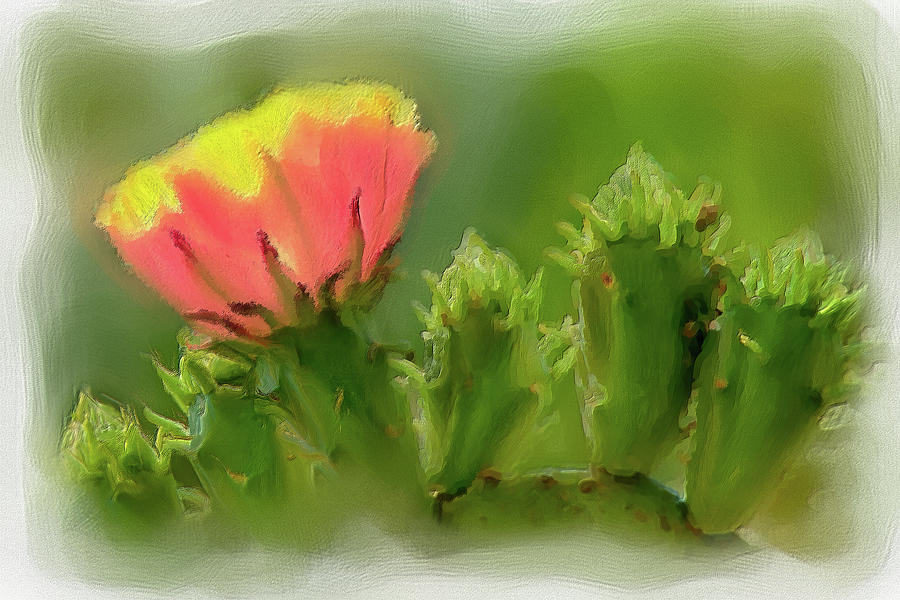 Cactus Flower on a Cactus Plant AP Painting by Dan Carmichael
