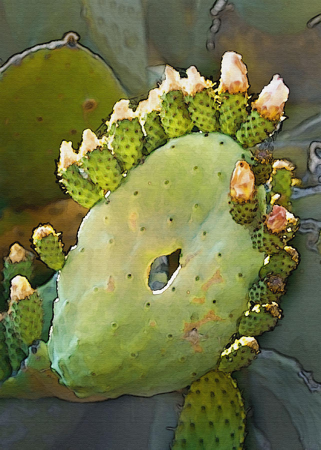 Cactus Flower Digital Art by Sharon Foster