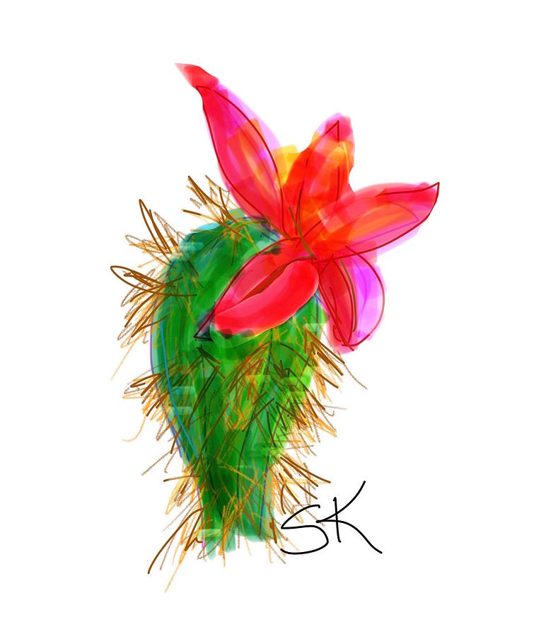 Christmas Cactus Flower Digital Art by Sherry Killam