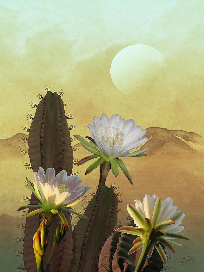 Cactus Flowers at Sunrise Painting by M Spadecaller