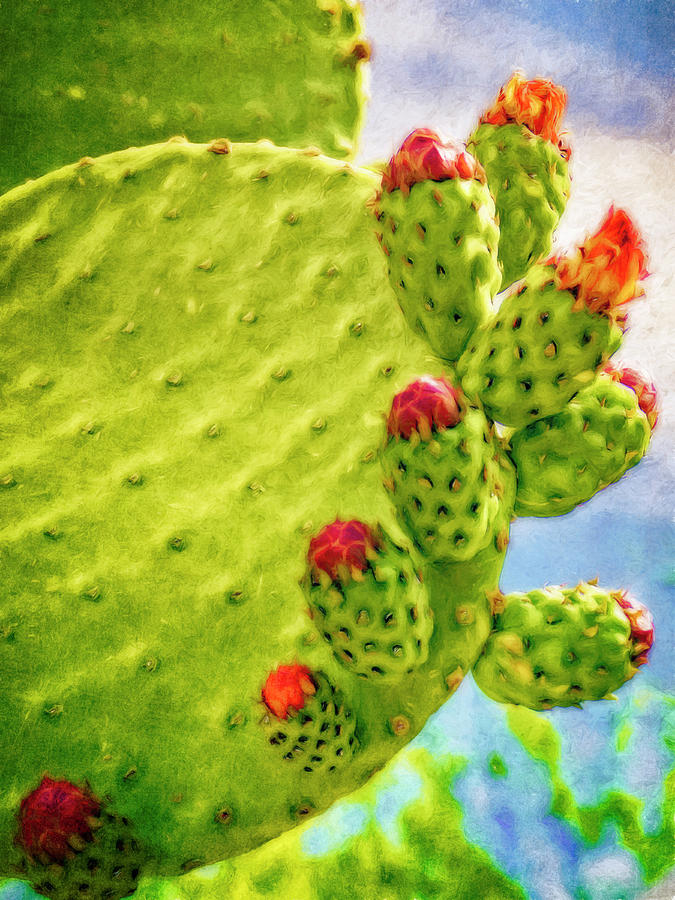 Cactus in Bloom Digital Art by Sandra Selle Rodriguez