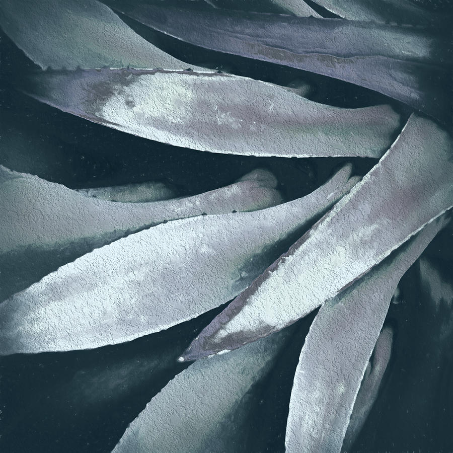 Cactus in Blue and Grey 2 Photograph by Julie Palencia