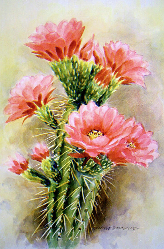 Cactus Flowers Painting - Cactus in Pink by Marlene Bonneville