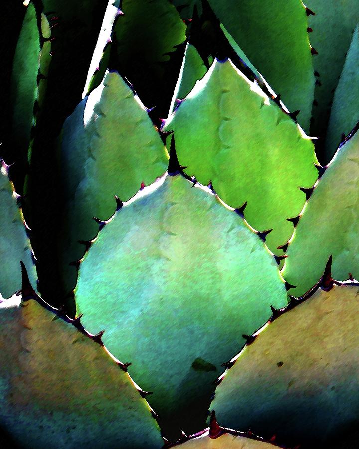 Cactus Leaves Photograph by Timothy Bulone