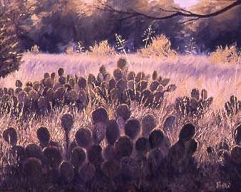 Cactus Light Painting by Biki Chaplain Cactus Light Painting by Biki Chaplain