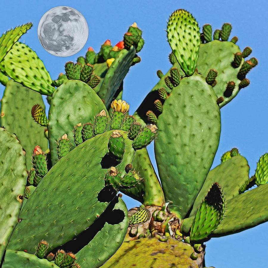 Cactus Moon Digital Art Digital Art by Ernest Echols