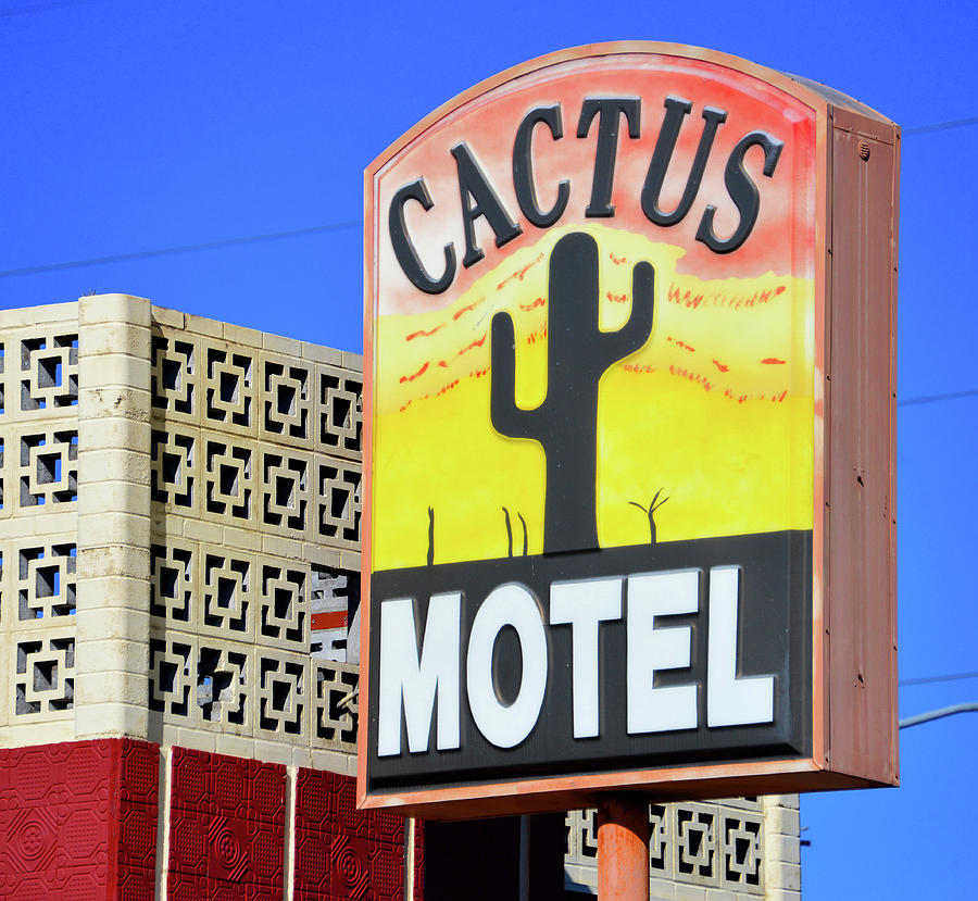Cactus Motel sign Photograph by David Lee Thompson