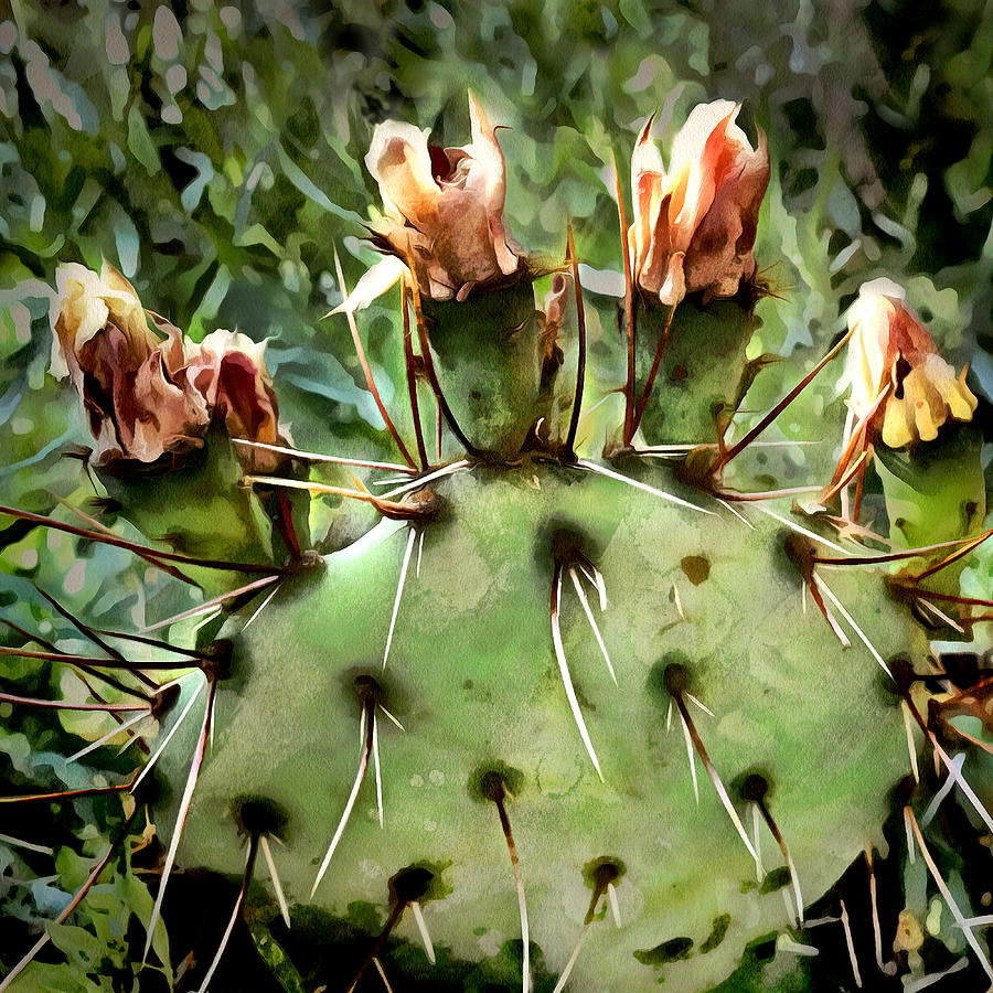 Cactus - nature art Digital Art by Ann Powell
