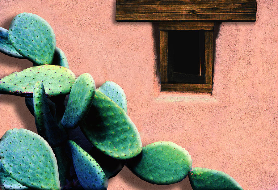 Cactus Photograph by Paul Wear