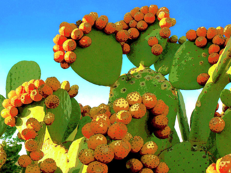 Cactus Pears Mixed Media by Dominic Piperata