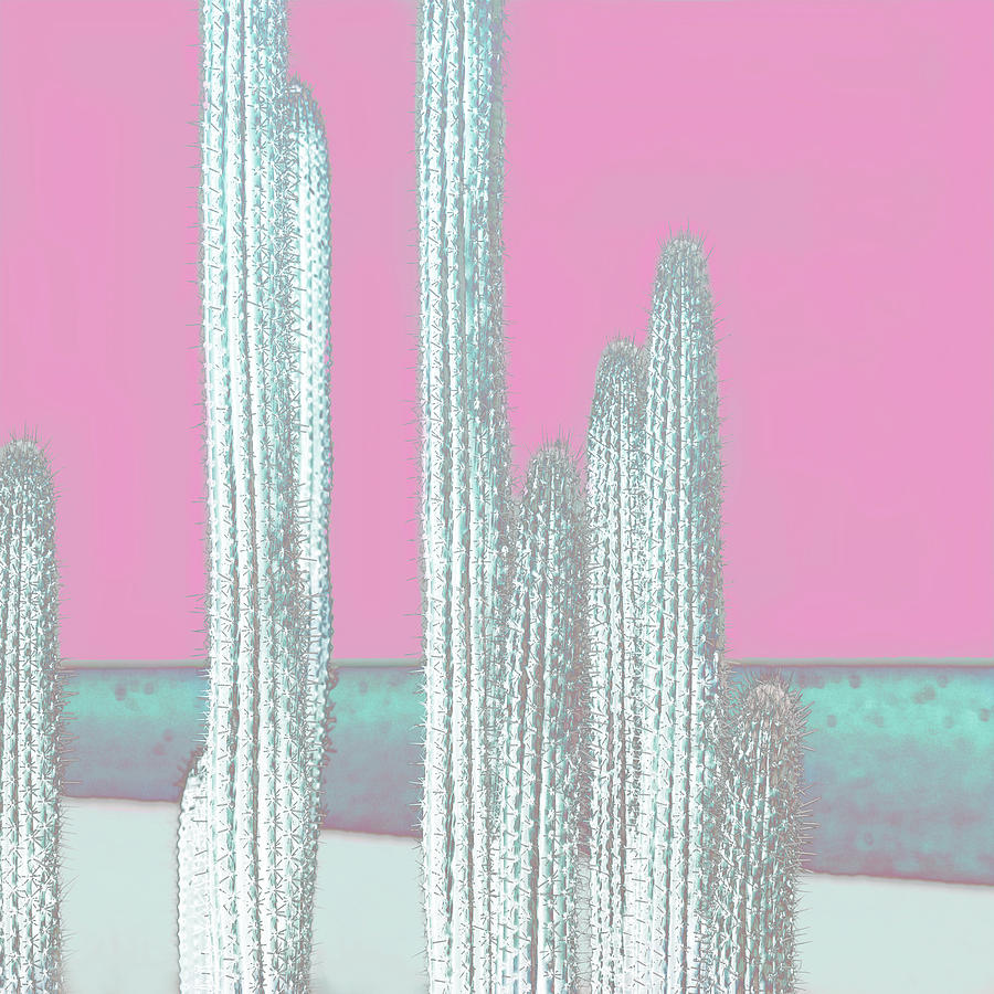 Abstract Digital Art - Cactus-Pink by Suzanne Carter