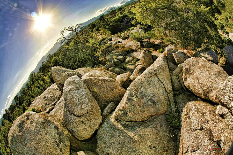 Cactus Rock Photograph by Blake Richards